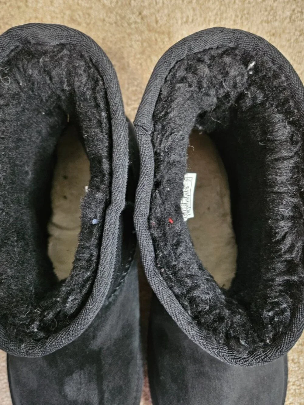 UGG women mini
